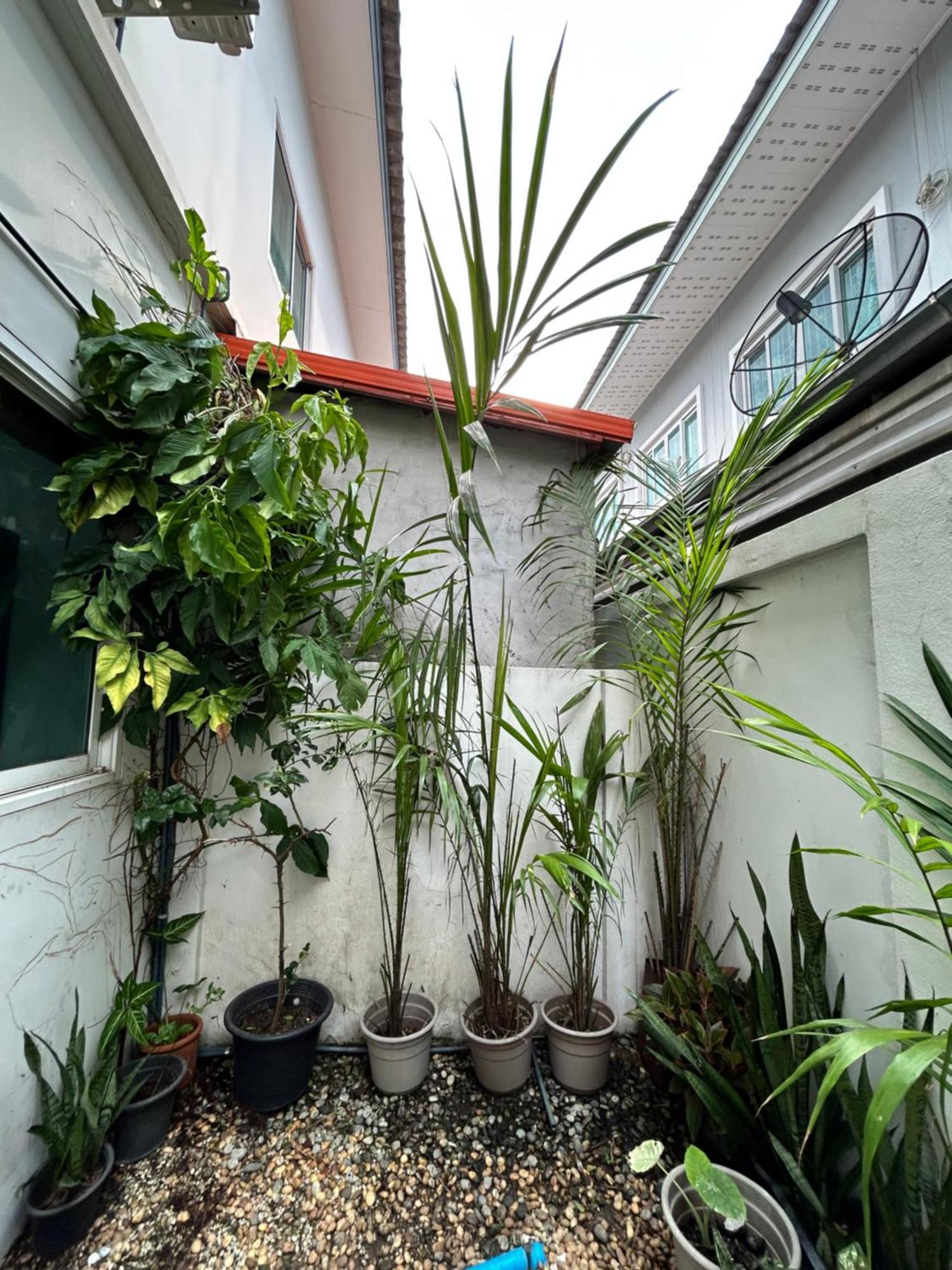 ไนซ์สเตย์ เฮาส์ แอทคลองสาม รังสิต คลองหลวง ปทุมธานี Nice Stay House At Khlong Sam - Rangsit - Khlong Luang - Phathumthani Exteriör bild
